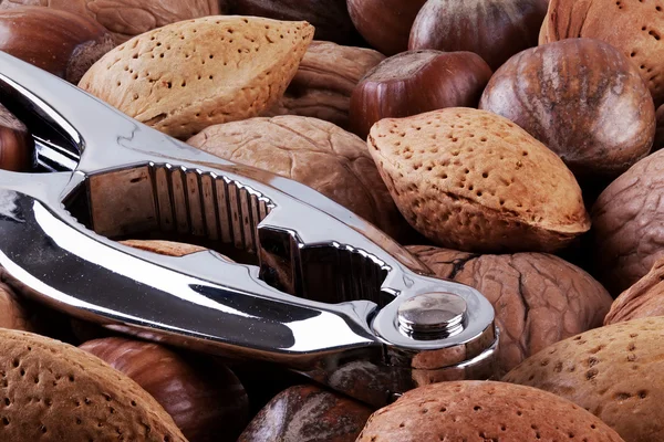 Nutcracker and whole nuts — Stock Photo, Image
