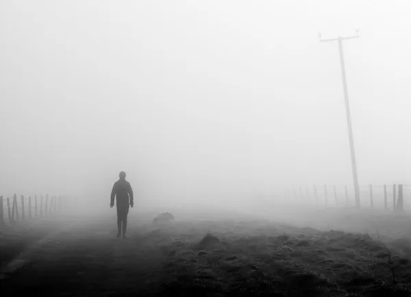 Misty matin chien promenade — Photo