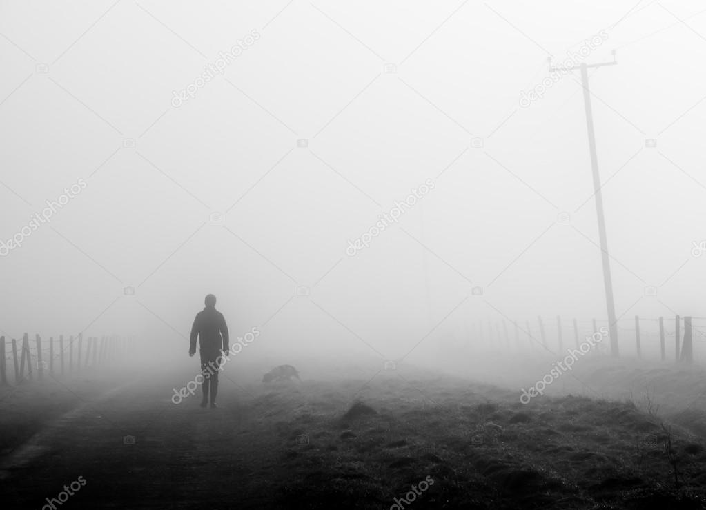 Misty morning dog walk