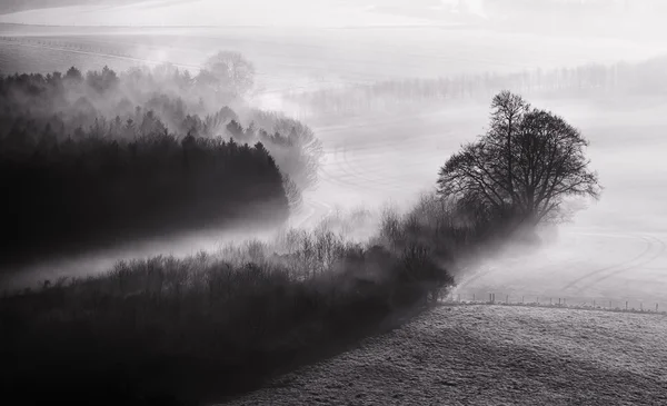 Paisagem de névoa preta e branca — Fotografia de Stock