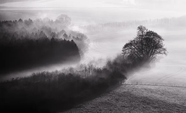 Schwarz-weiße Nebellandschaft — Stockfoto