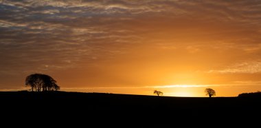 Sunrise silouette peyzaj içinde