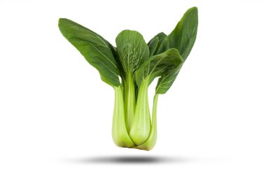 Pak choi (shanghai bok choy) Çin sebzesi beyaz arka planda bulunur.