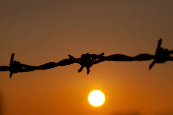 Hermosa Puesta Sol Naranja Con Primer Plano Alambre Púas Detalle —  Fotos de Stock