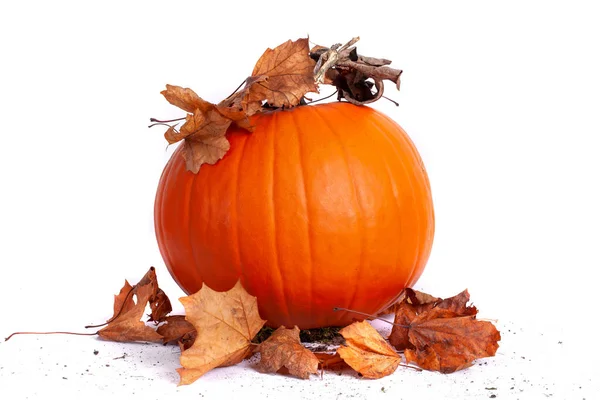 Calabaza Naranja Halloween Con Hojas Secas Otoño Aisladas Sobre Fondo —  Fotos de Stock