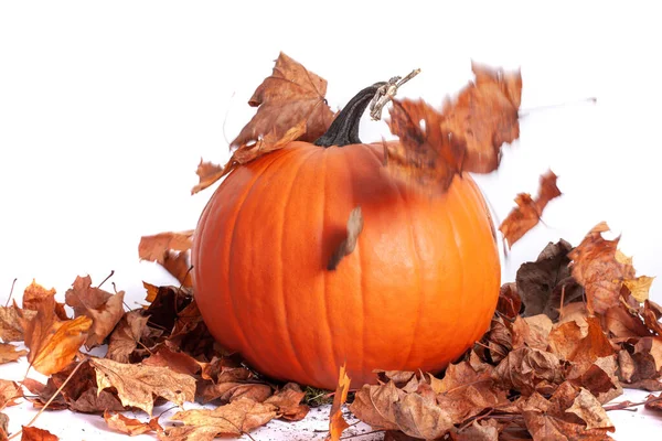 Halloween Orange Kürbis Mit Fallenden Herbstblättern Isoliert Auf Weißem Hintergrund — Stockfoto