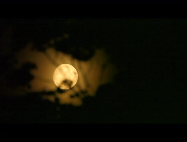 Cosecha Naranja Completa Luna Timelapse Seguimiento Través Del Cielo Visto — Vídeo de stock