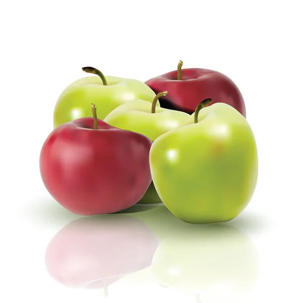 Świeże jabłka z odbiciem — Wektor stockowy
