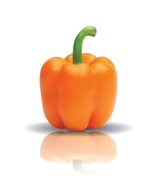 Bell pepper with reflection — Stock Vector