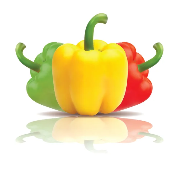 Bell peppers with reflection — Stock Vector