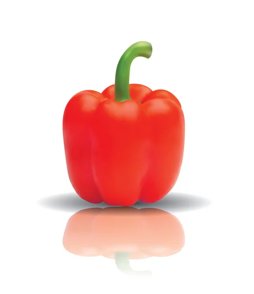 Bell pepper with reflection — Stock Vector