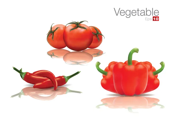 Выбранные овощи с отражением — стоковый вектор