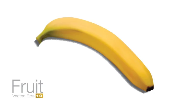 Plátano alto detallado — Archivo Imágenes Vectoriales