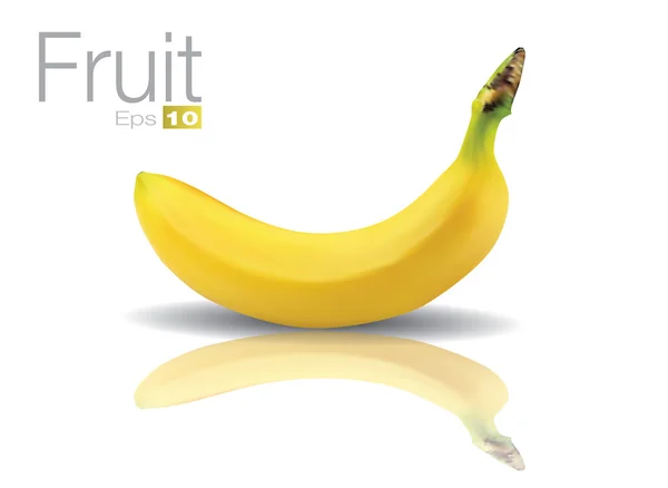 Banane haute détaillée — Image vectorielle