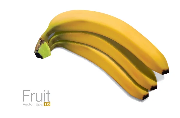 Bananes très détaillées — Image vectorielle