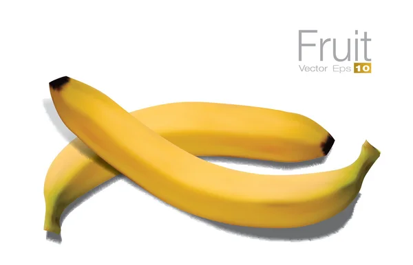 Plátanos detallados altos — Archivo Imágenes Vectoriales