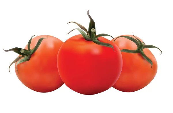 红色西红柿 — 图库矢量图片