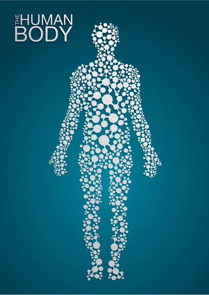 El concepto del cuerpo humano — Vector de stock