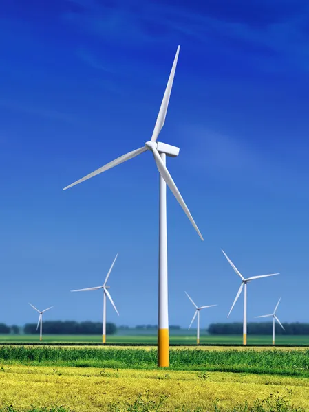 Prato con turbine eoliche l — Foto Stock