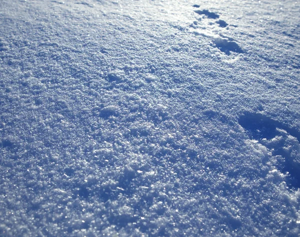 Fond de neige blanche — Photo