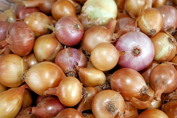 Bulb onions — Stock Photo, Image