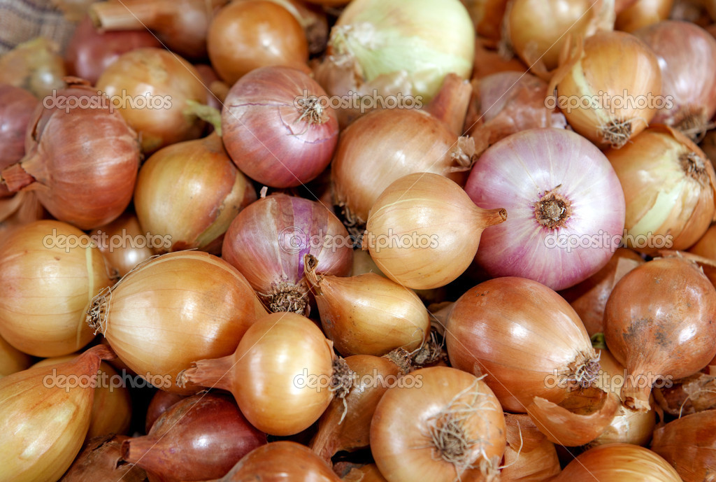 Bulb onions Stock Photo by ©ssuaphoto 29216673