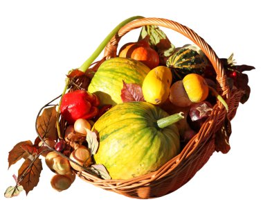 taze sağlıklı sebze