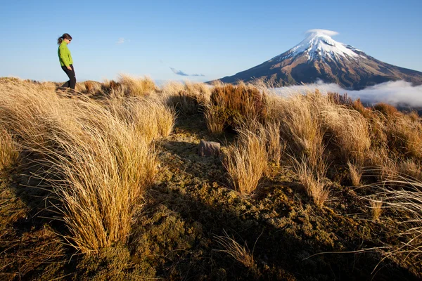 New Zealand trekking - Stock-foto