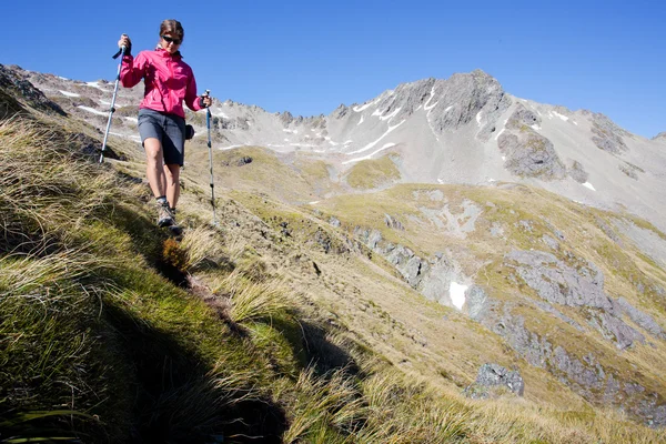 Trekking de montanha — Fotografia de Stock