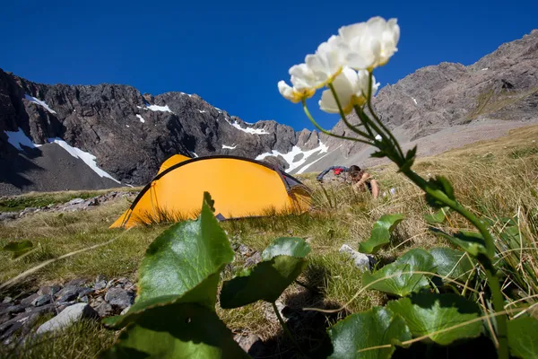 Zelten in den Bergen — Stockfoto