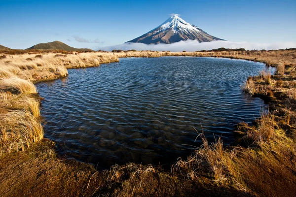 Nuova Zelanda paesaggio — Foto Stock