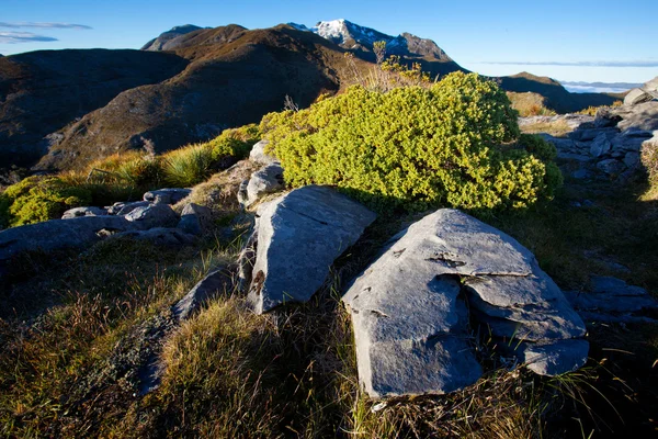 ニュージーランドの山の風景 — ストック写真