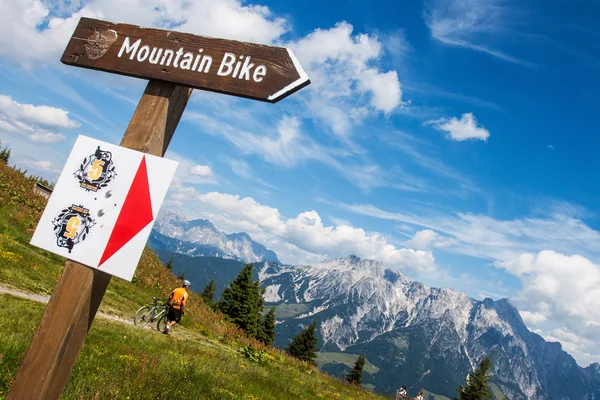 Mountain biking — Stock Photo, Image