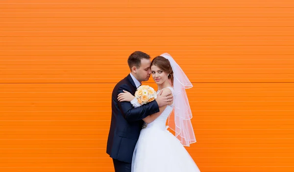 Wedding bride and groom on a bright orange background — Stock Photo, Image