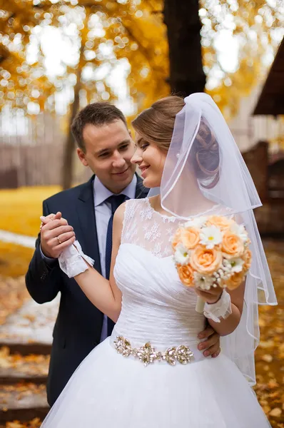 Matrimonio coppia — Foto Stock