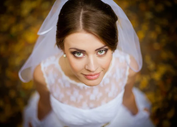 Beau portrait de la mariée le jour du mariage — Photo