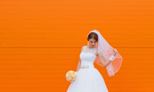 Krásná nevěsta na oranžovém pozadí na svatební den Stock Snímky