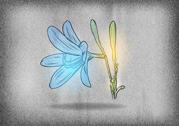 Fiore blu — Vettoriale Stock