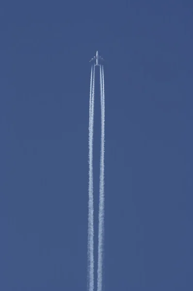 Flying up — Stock Photo, Image