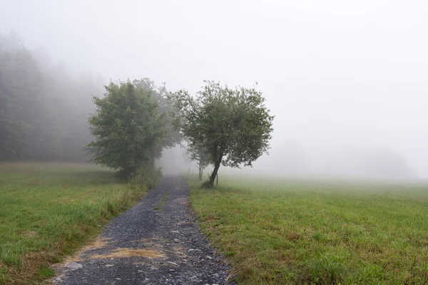 Foggy landskap — Stockfoto