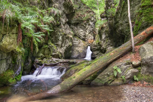 Wasserfälle — Stockfoto