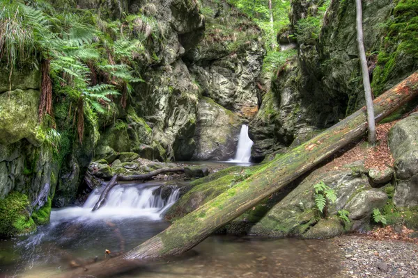 Cascadas —  Fotos de Stock