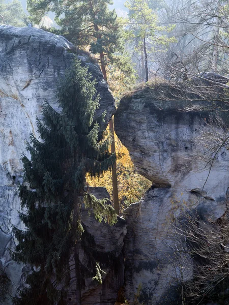 Het Boheemse Paradijs - rotsen — Stockfoto