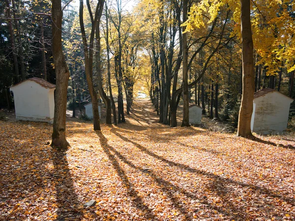 Avenue, a fák - Kálvária — Stock Fotó