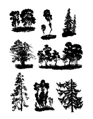 çeşitli ağaçlar vektör