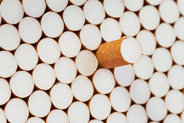 Filter cigarettes — Stock Photo, Image