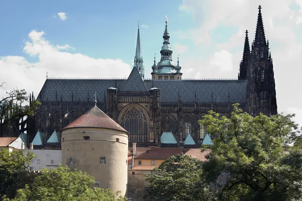 Kathedrale des Heiligen Veits — Stockfoto