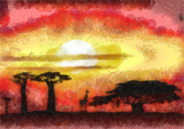 Afrika zonsondergang — Stockfoto