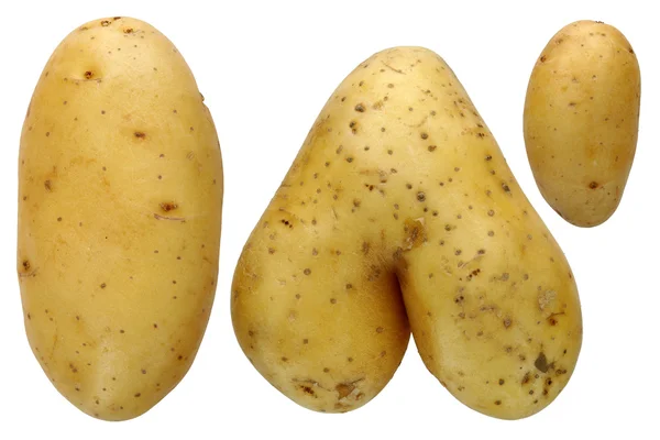 Potatis — Stockfoto