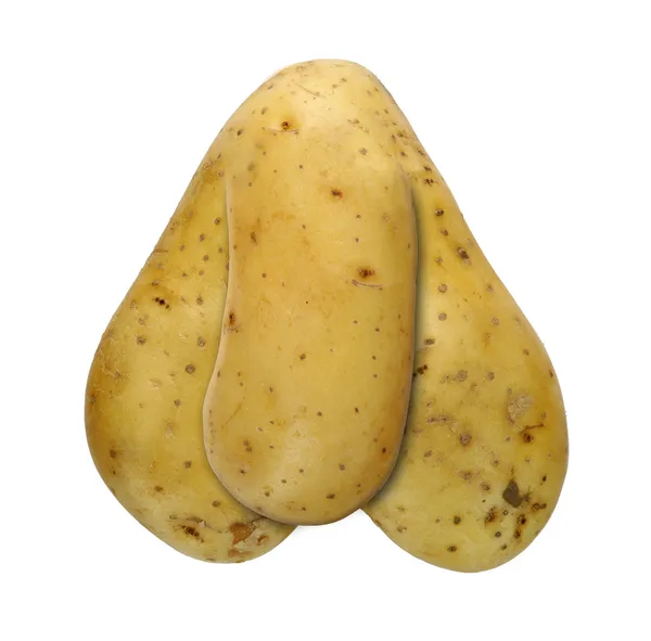 Bizarre potato — Stock Photo, Image